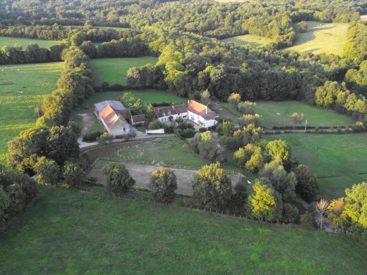 Domaine De Varenne Bed and Breakfast Saint-Amand-en-Puisaye Eksteriør billede