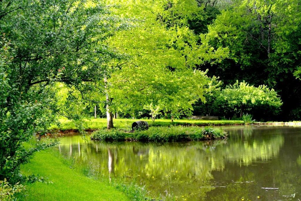 Domaine De Varenne Bed and Breakfast Saint-Amand-en-Puisaye Eksteriør billede